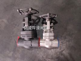 �����l�y