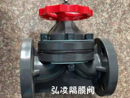 ���ϸ�Ĥ�y