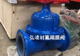 �r����Ĥ�y